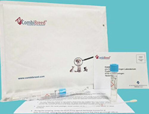 Korting op DNA-testen via de Raad van Beheer